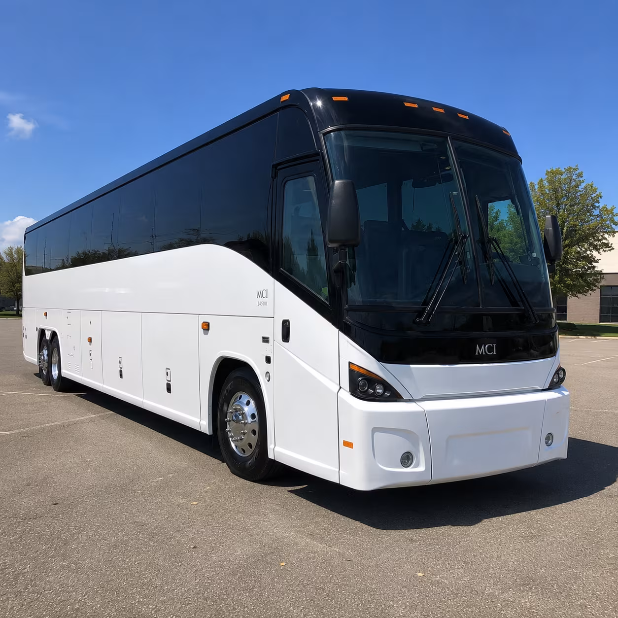elizabeth 45 passenger charter bus