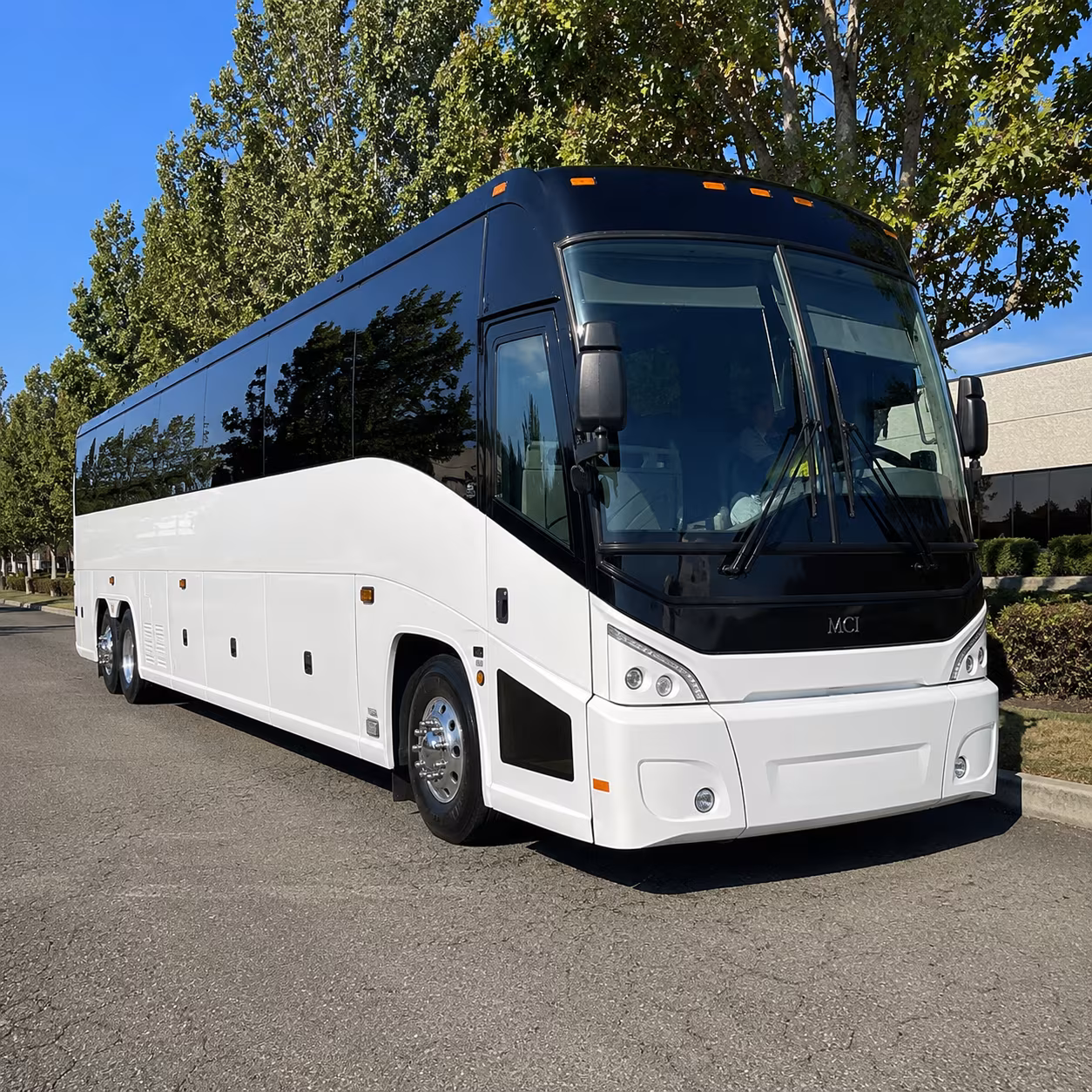 elizabeth 50 passenger charter bus