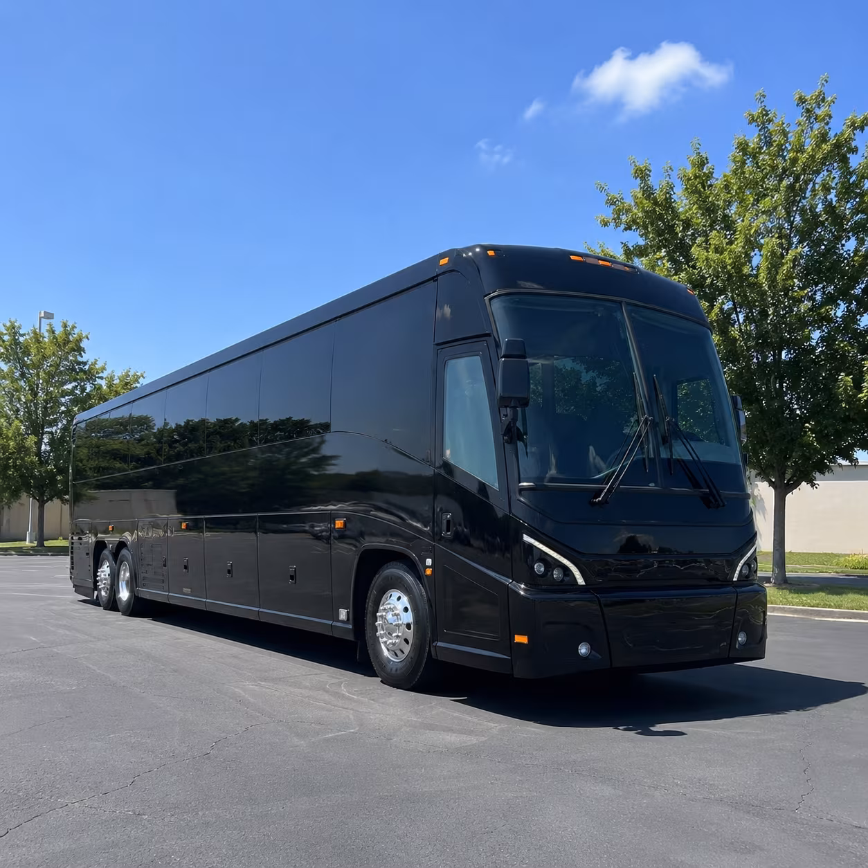 elizabeth 56 passenger charter bus