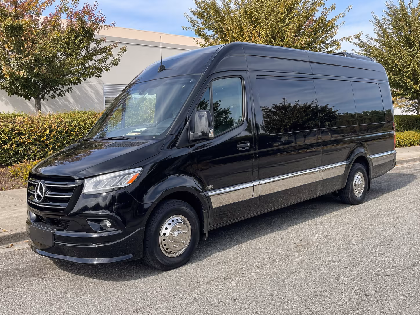 elizabeth sprinter van with driver
